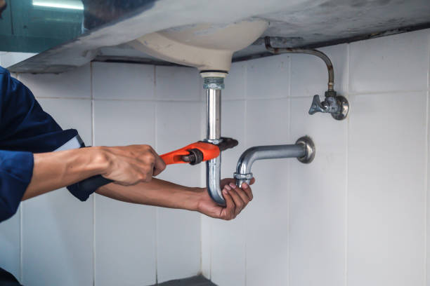 Best Water Softener Installation  in Gulf Shores, AL